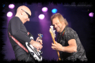 chickenfoot32_rw2009_thumb.jpg