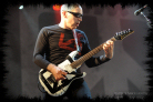 chickenfoot46_rw2009_thumb.jpg