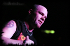 ffdp_brum_2009_11_thumb.jpg