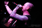 ffdp_brum_2009_18_thumb.jpg