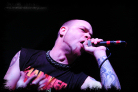 ffdp_brum_2009_1_thumb.jpg