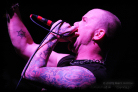 ffdp_brum_2009_21_thumb.jpg