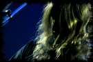 opeth_apollooct2009_8_thumb.jpg