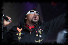 skindred_sonisphere86_thumb.jpg