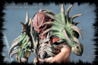 gwar_boa2010_11_thumb.jpg