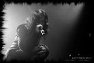 lacunacoil_manchester2013_5_thumb.jpg