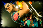 reelbigfish_nottingham_2012_13_thumb.jpg