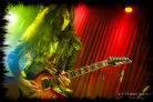 theagonist_liverpool2013_11_thumb.jpg