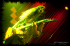 theagonist_liverpool2013_18_thumb.jpg