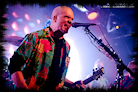 devintownsend_nottingham2019_37_thumb.jpg